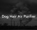 Dog Hair Air Purifier