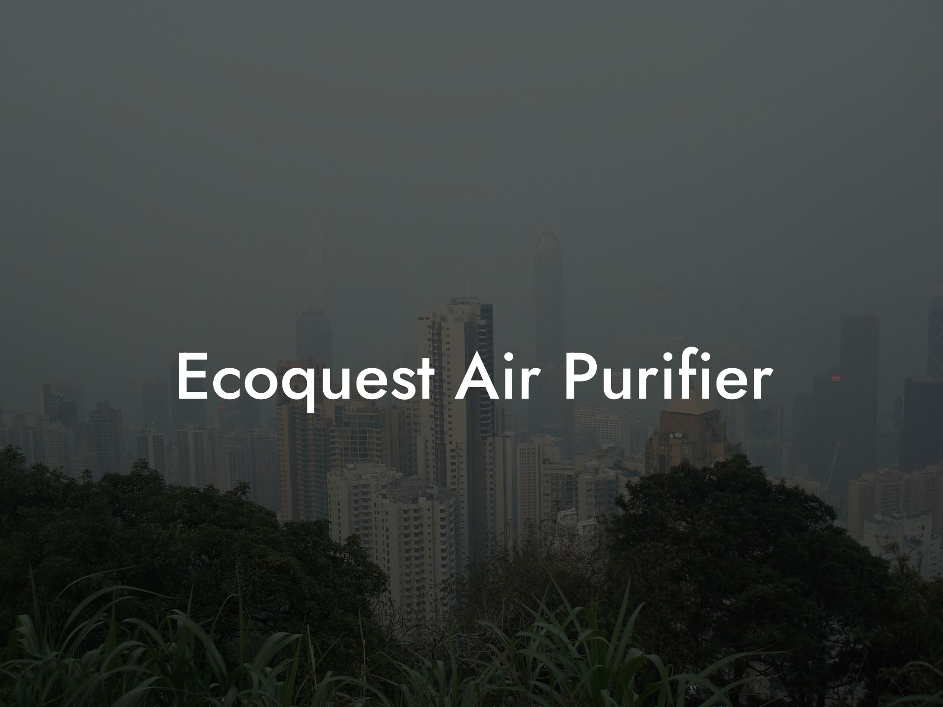 Ecoquest Air Purifier