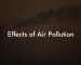 Effects of Air Pollution