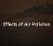 Effects of Air Pollution