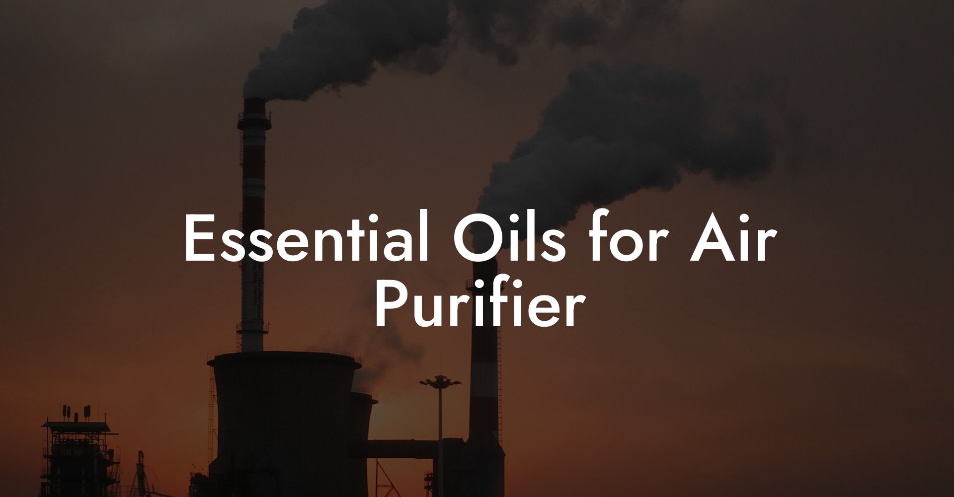 Essential Oils for Air Purifier