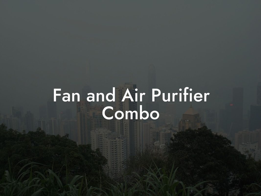 Fan and Air Purifier Combo