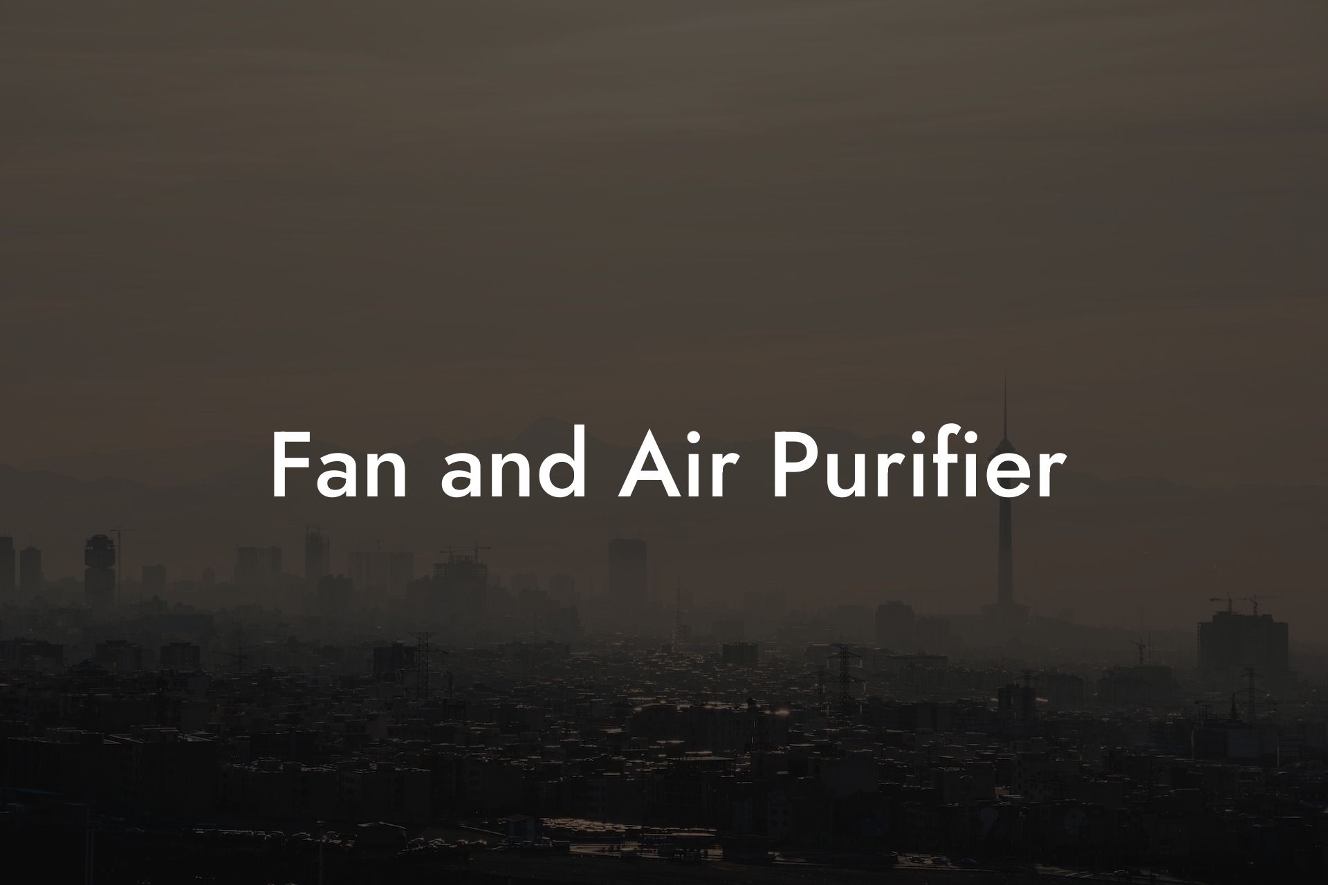 Fan and Air Purifier