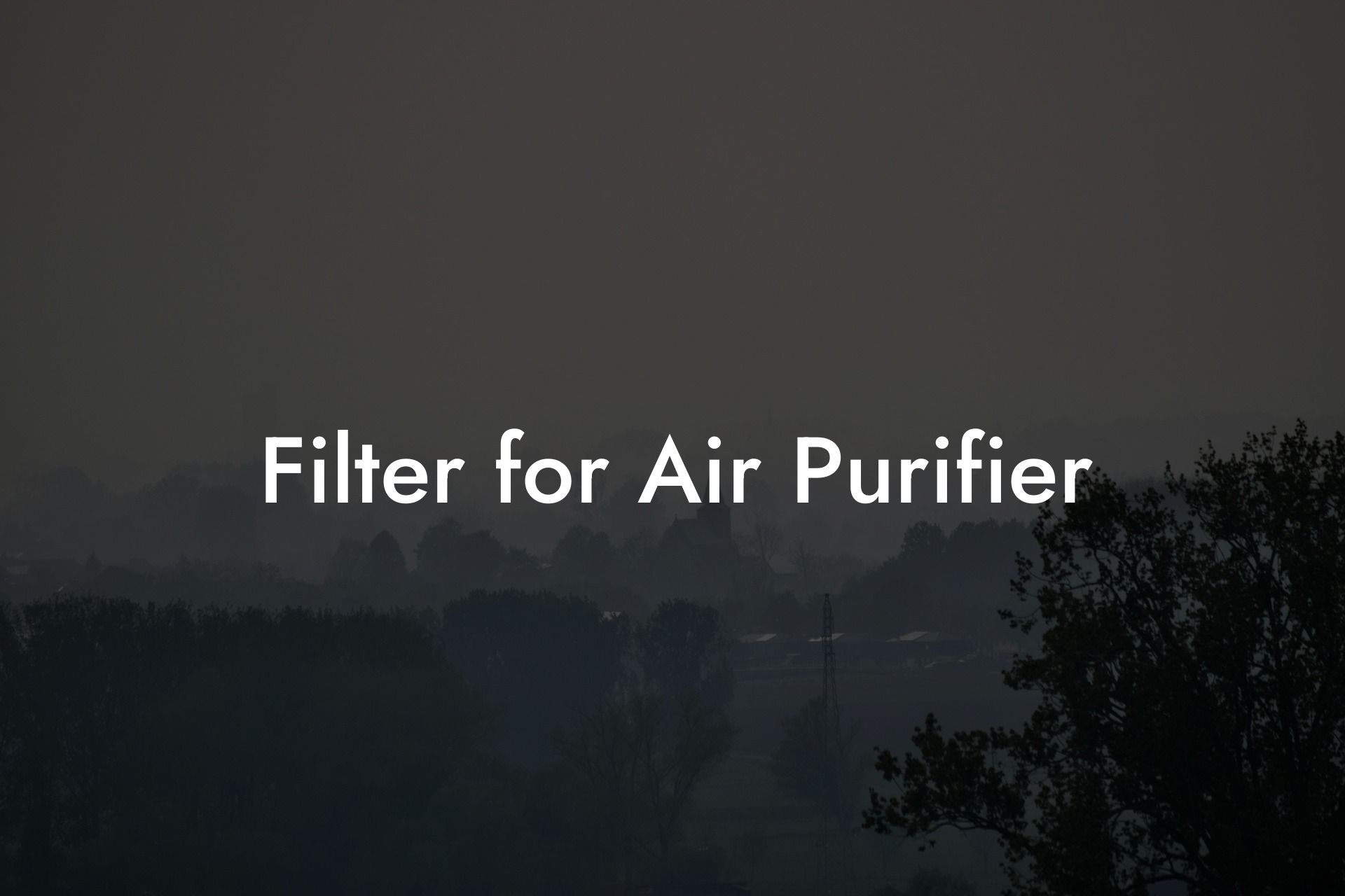 Filter for Air Purifier