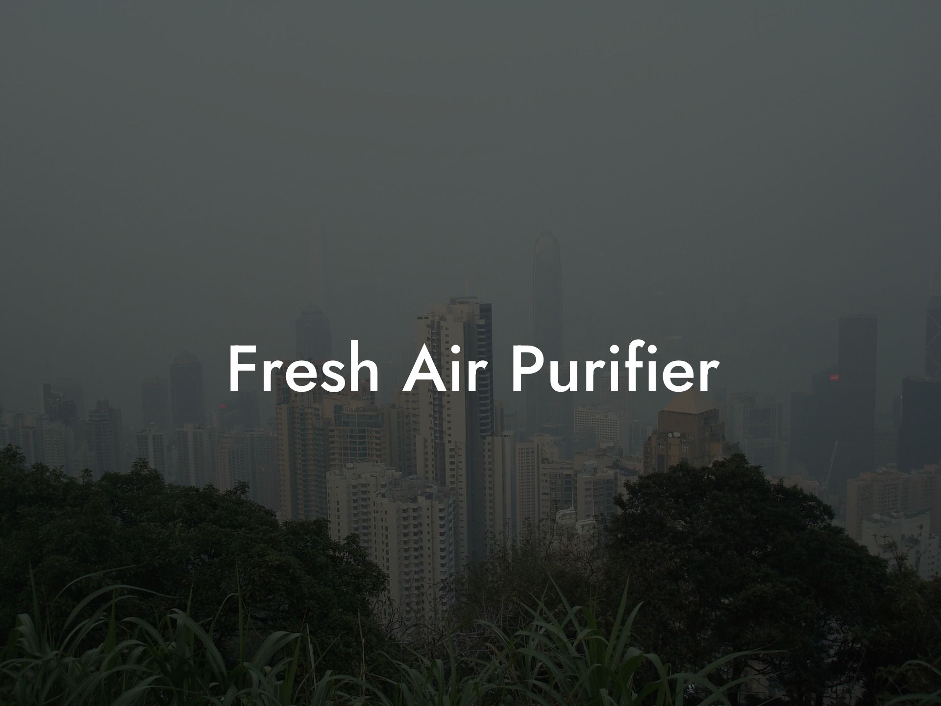 Fresh Air Purifier