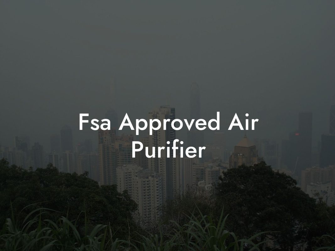 Fsa Approved Air Purifier