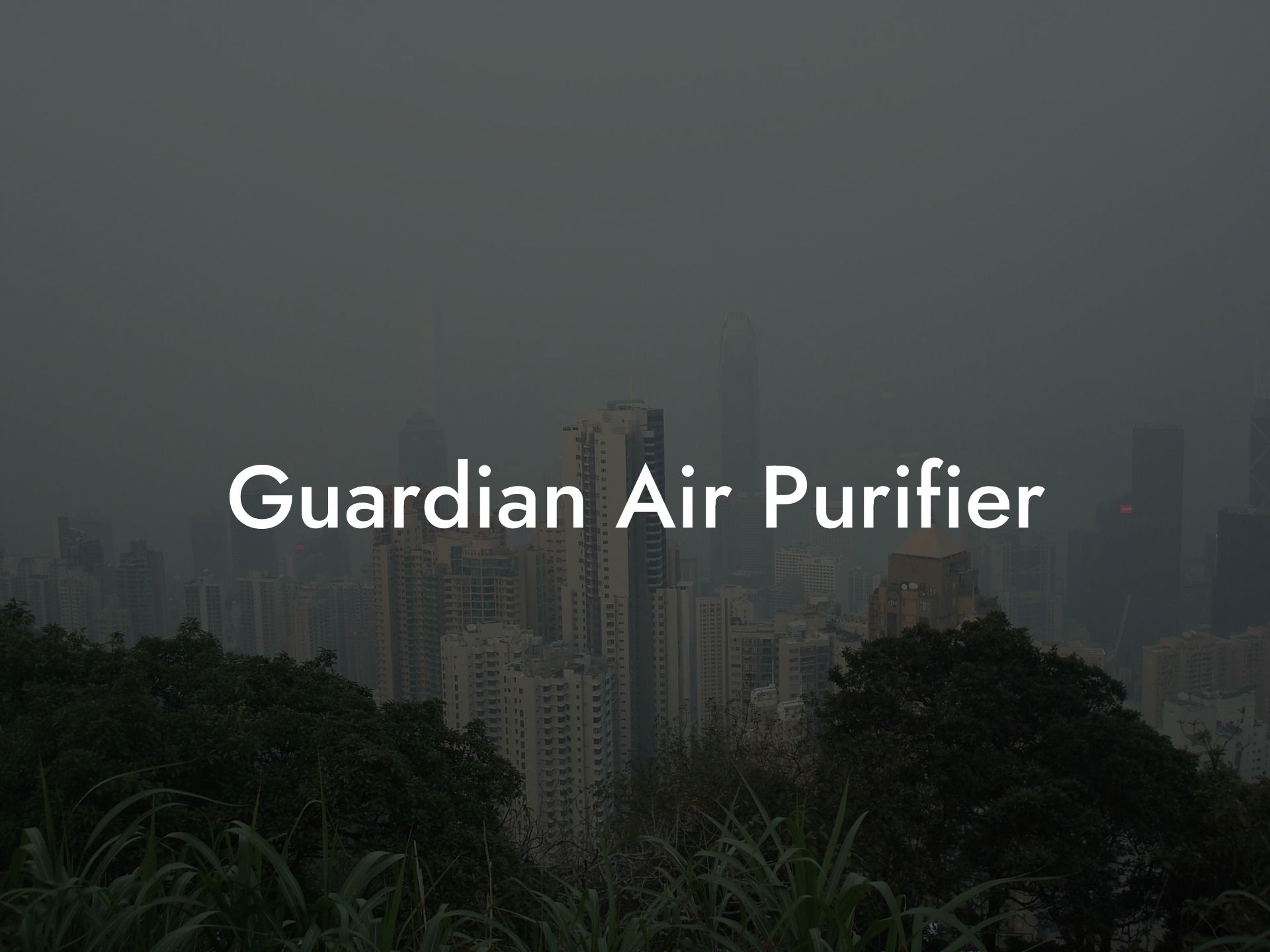 Guardian Air Purifier