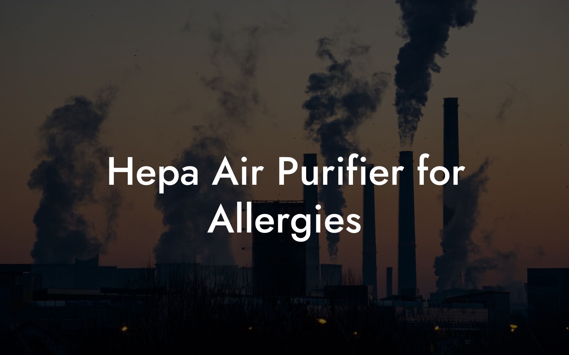 Hepa Air Purifier for Allergies