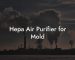 Hepa Air Purifier for Mold