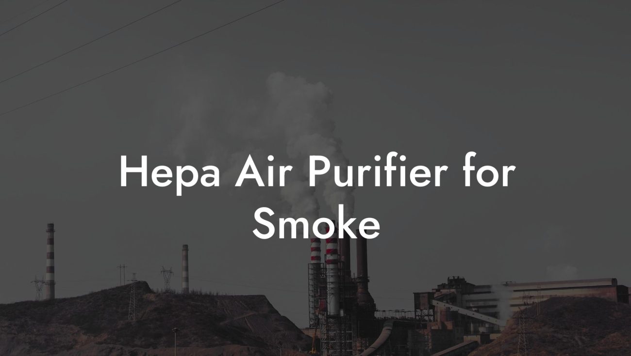 Hepa Air Purifier for Smoke