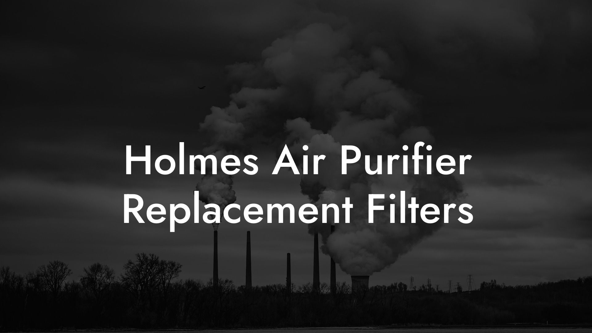 Holmes Air Purifier Replacement Filters