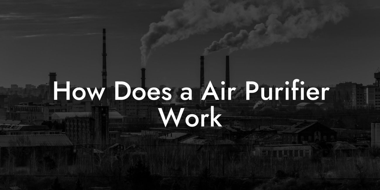 How Does a Air Purifier Work