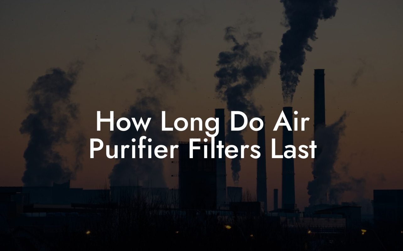 How Long Do Air Purifier Filters Last