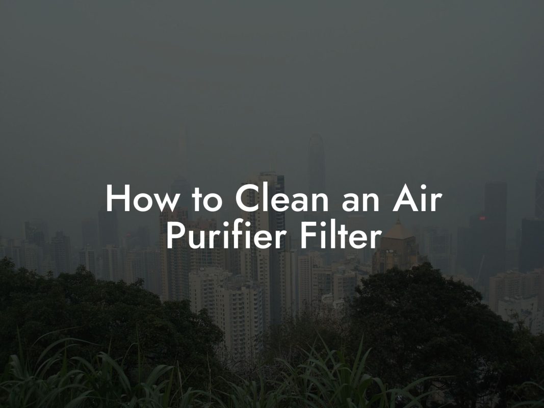 How to Clean an Air Purifier Filter