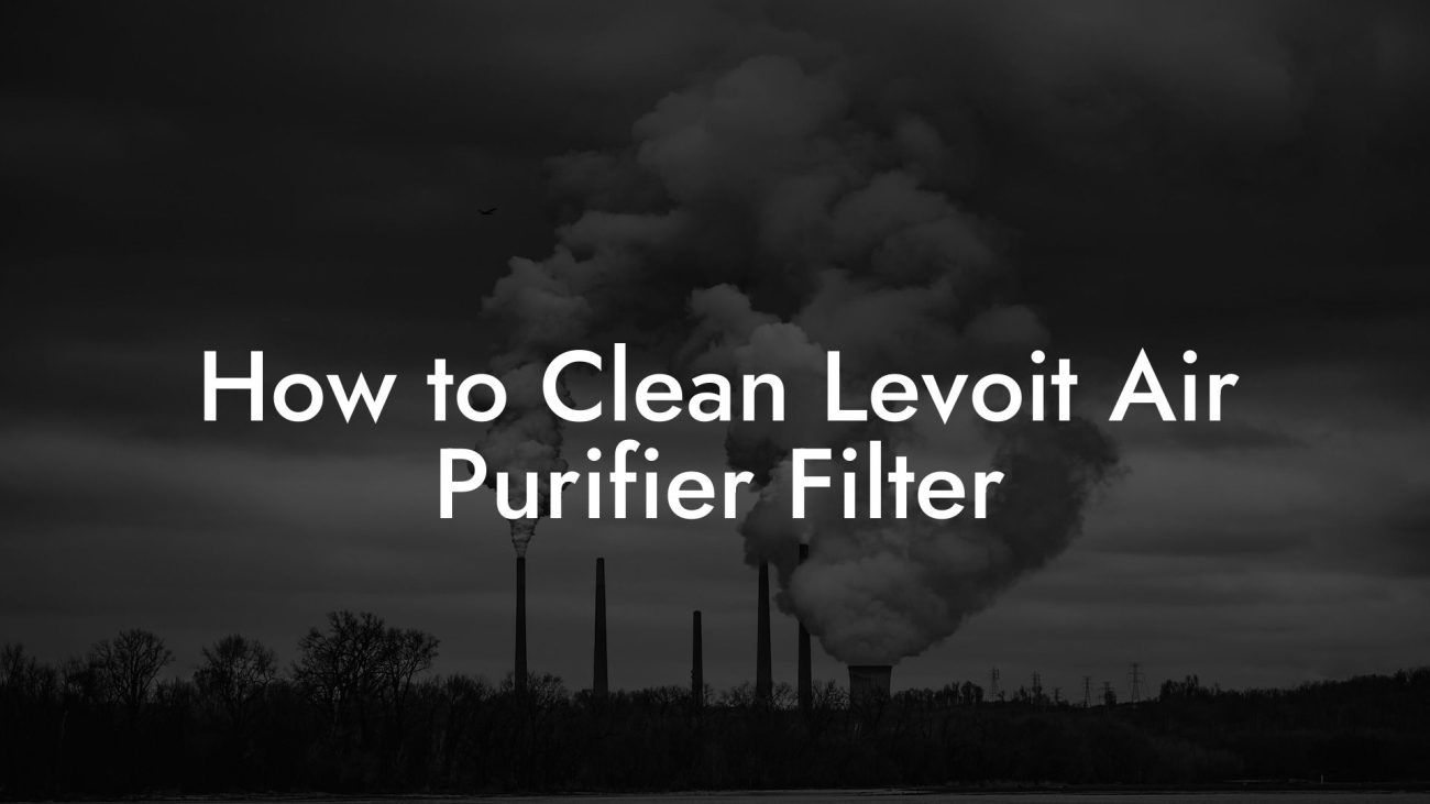 How to Clean Levoit Air Purifier Filter