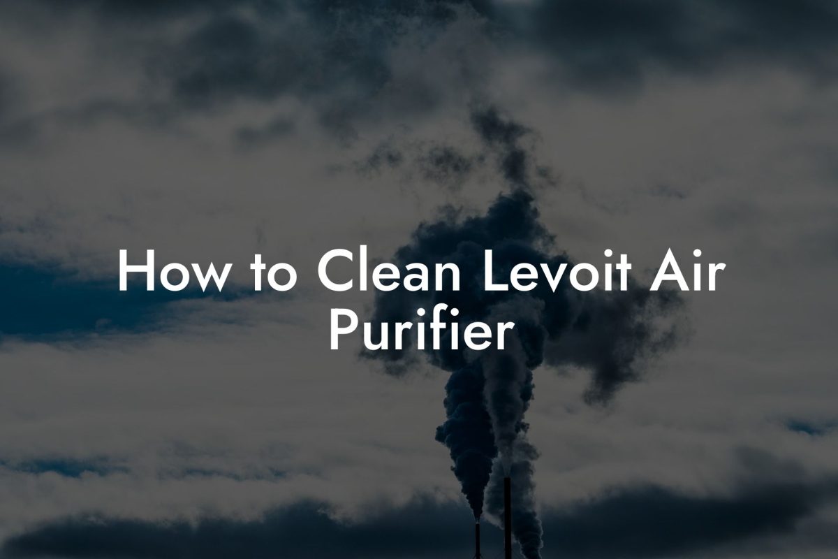 How to Clean Levoit Air Purifier