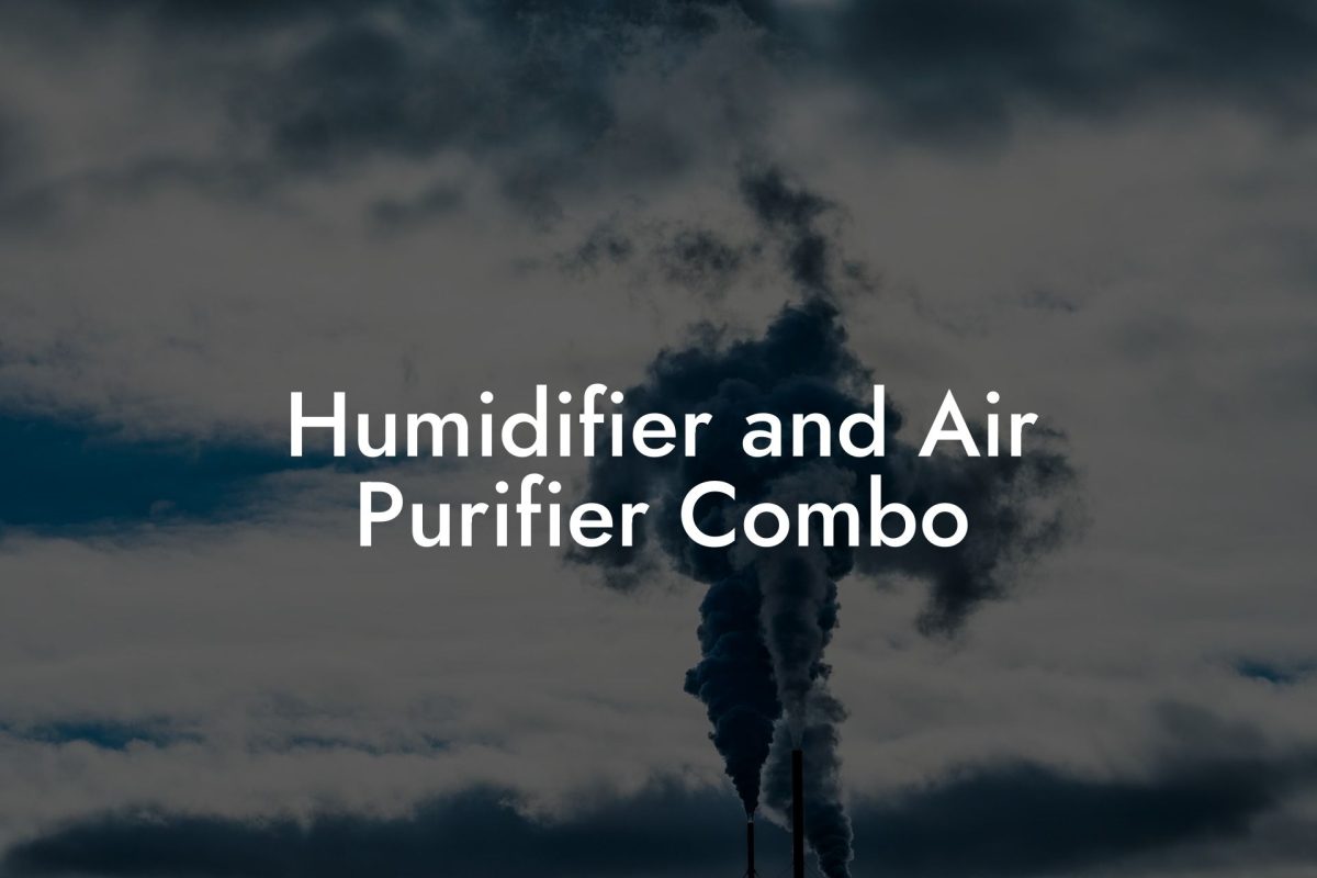 Humidifier and Air Purifier Combo