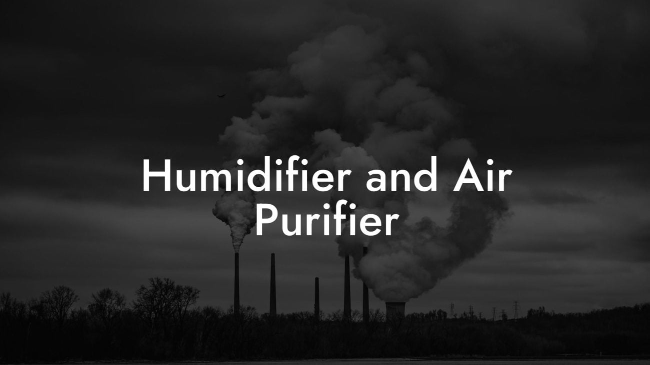 Humidifier and Air Purifier