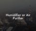 Humidifier or Air Purifier