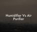 Humidifier Vs Air Purifier