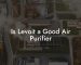 Is Levoit a Good Air Purifier