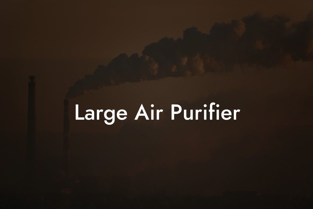 Large Air Purifier