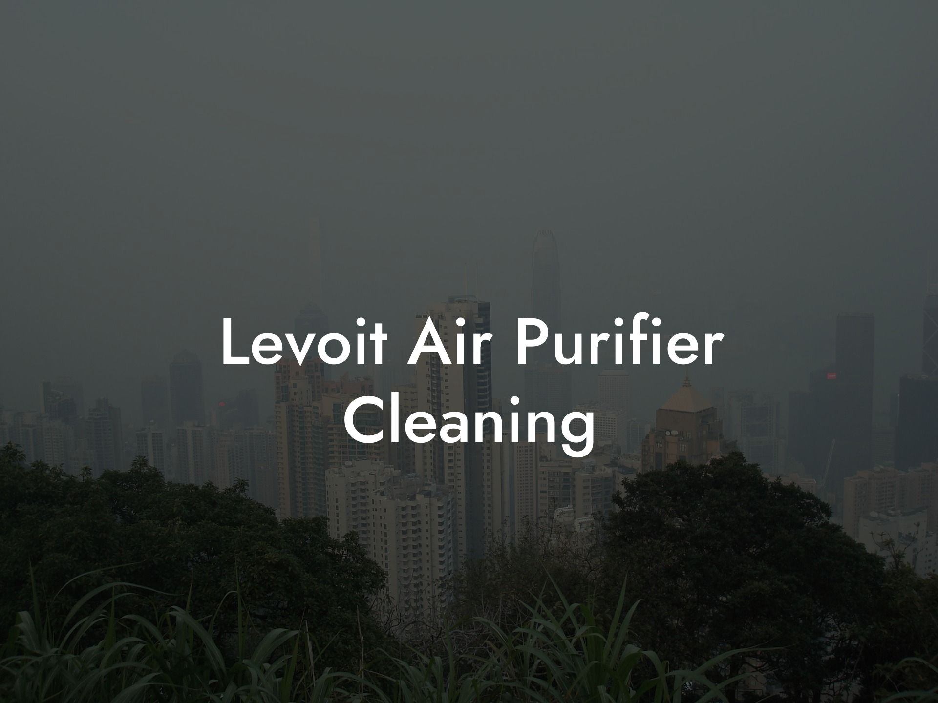 Levoit Air Purifier Cleaning