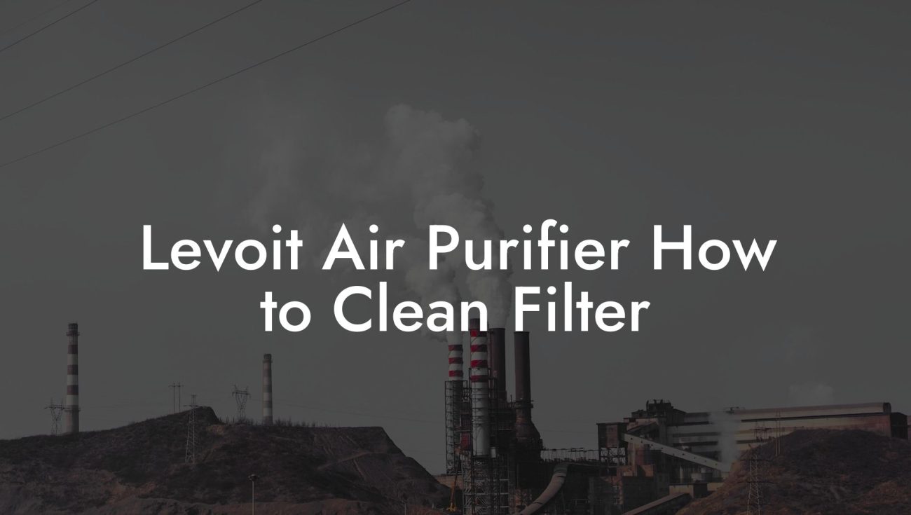 Levoit Air Purifier How to Clean Filter