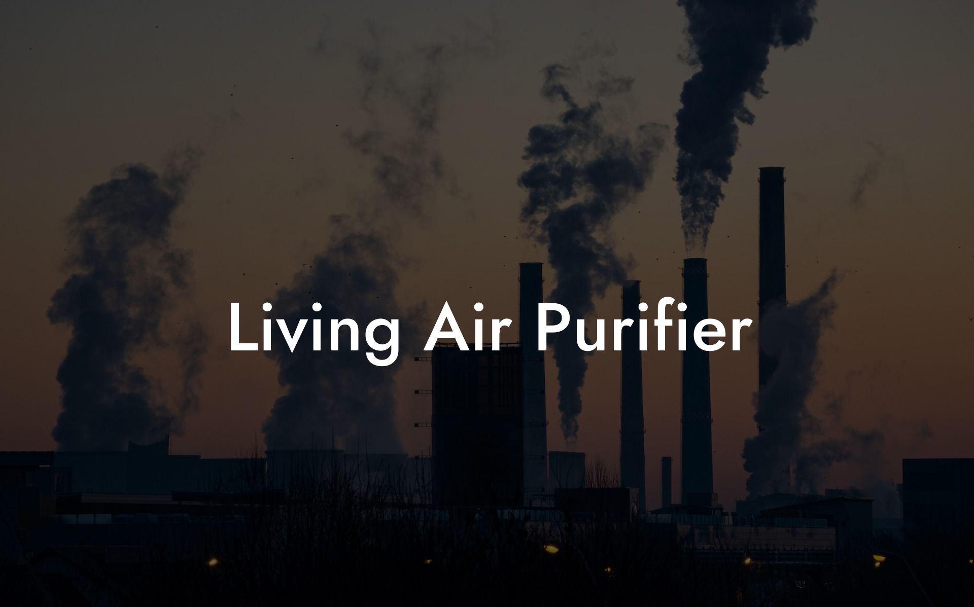 Living Air Purifier