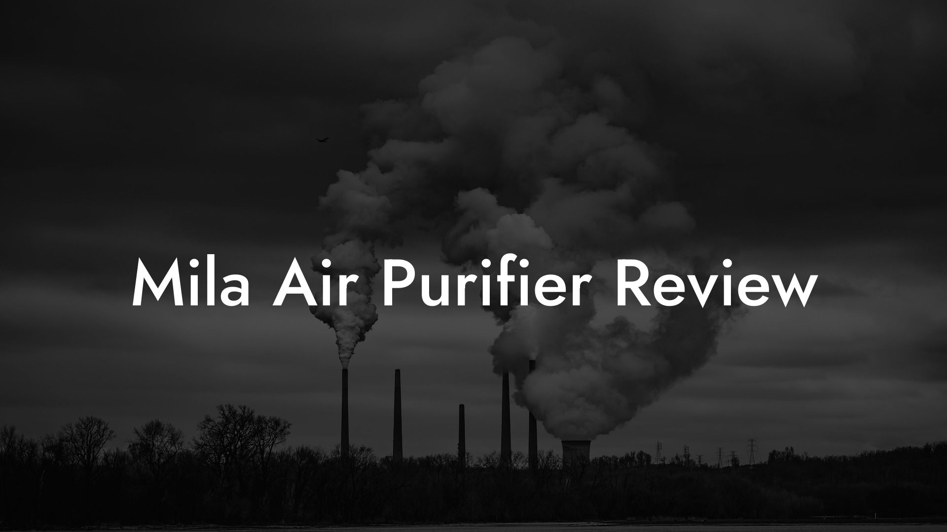 Mila Air Purifier Review