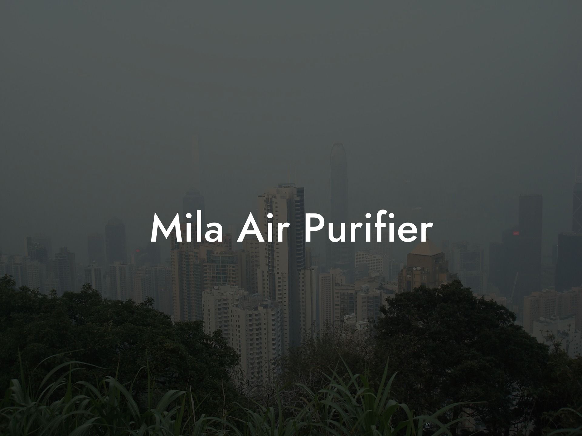 Mila Air Purifier