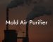 Mold Air Purifier