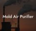 Mold Air Purifier