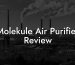 Molekule Air Purifier Review