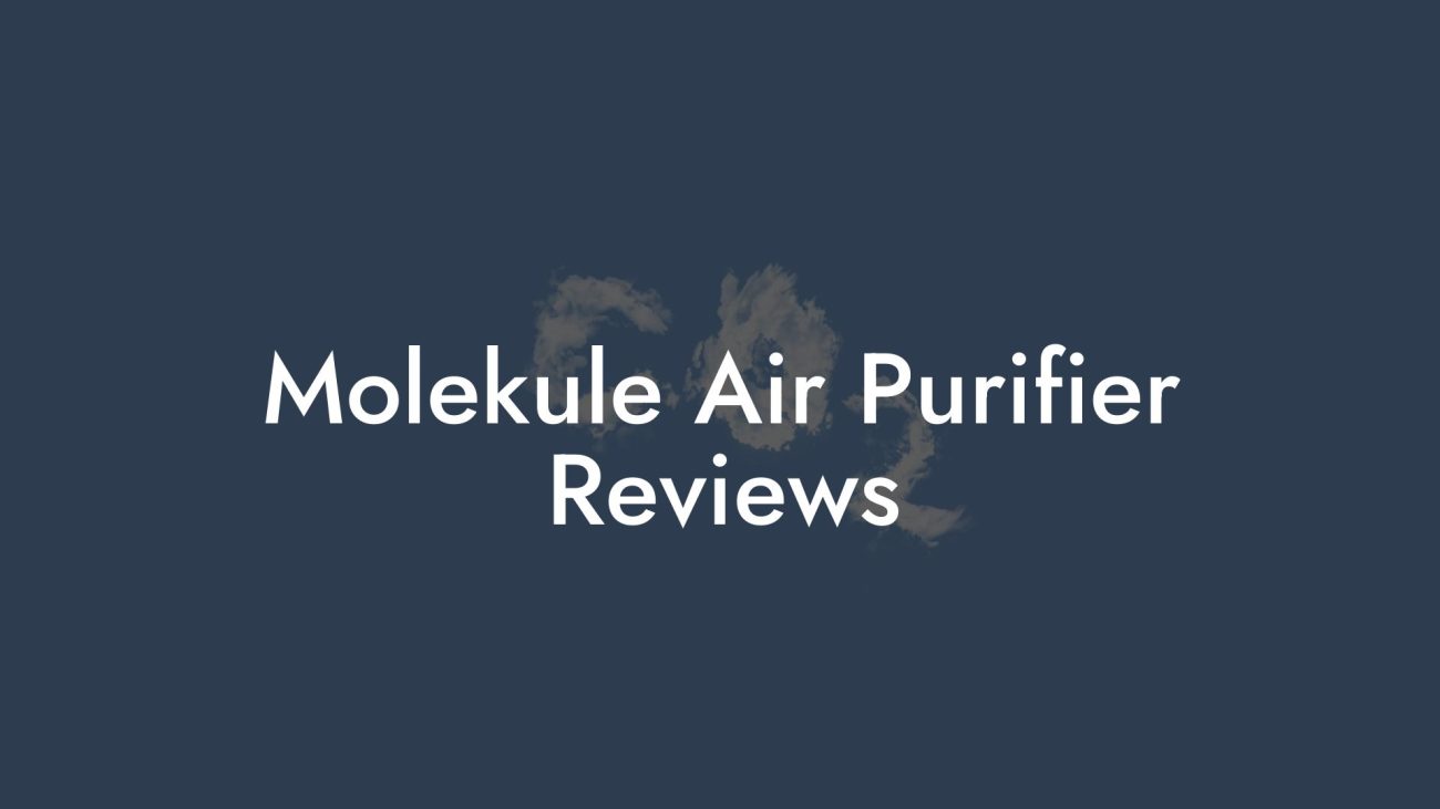 Molekule Air Purifier Reviews