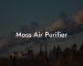 Moss Air Purifier