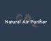 Natural Air Purifier