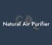 Natural Air Purifier