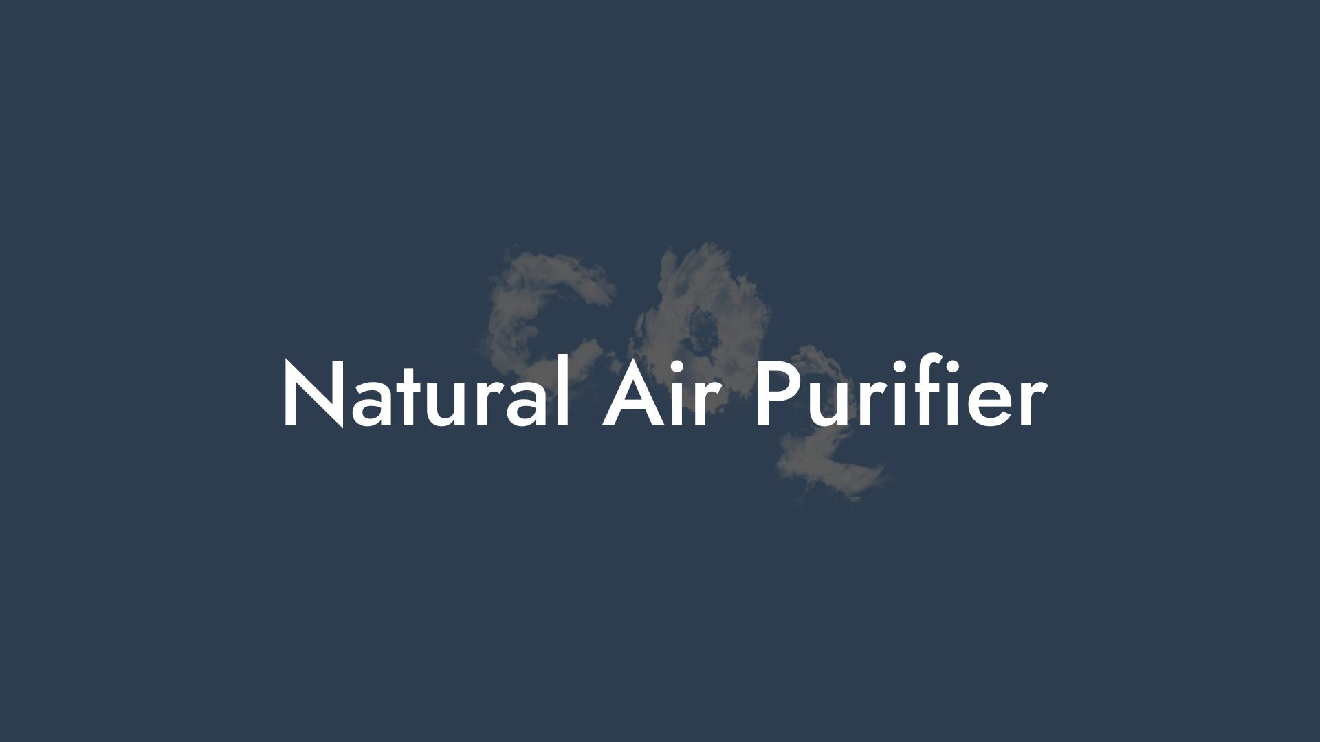 Natural Air Purifier