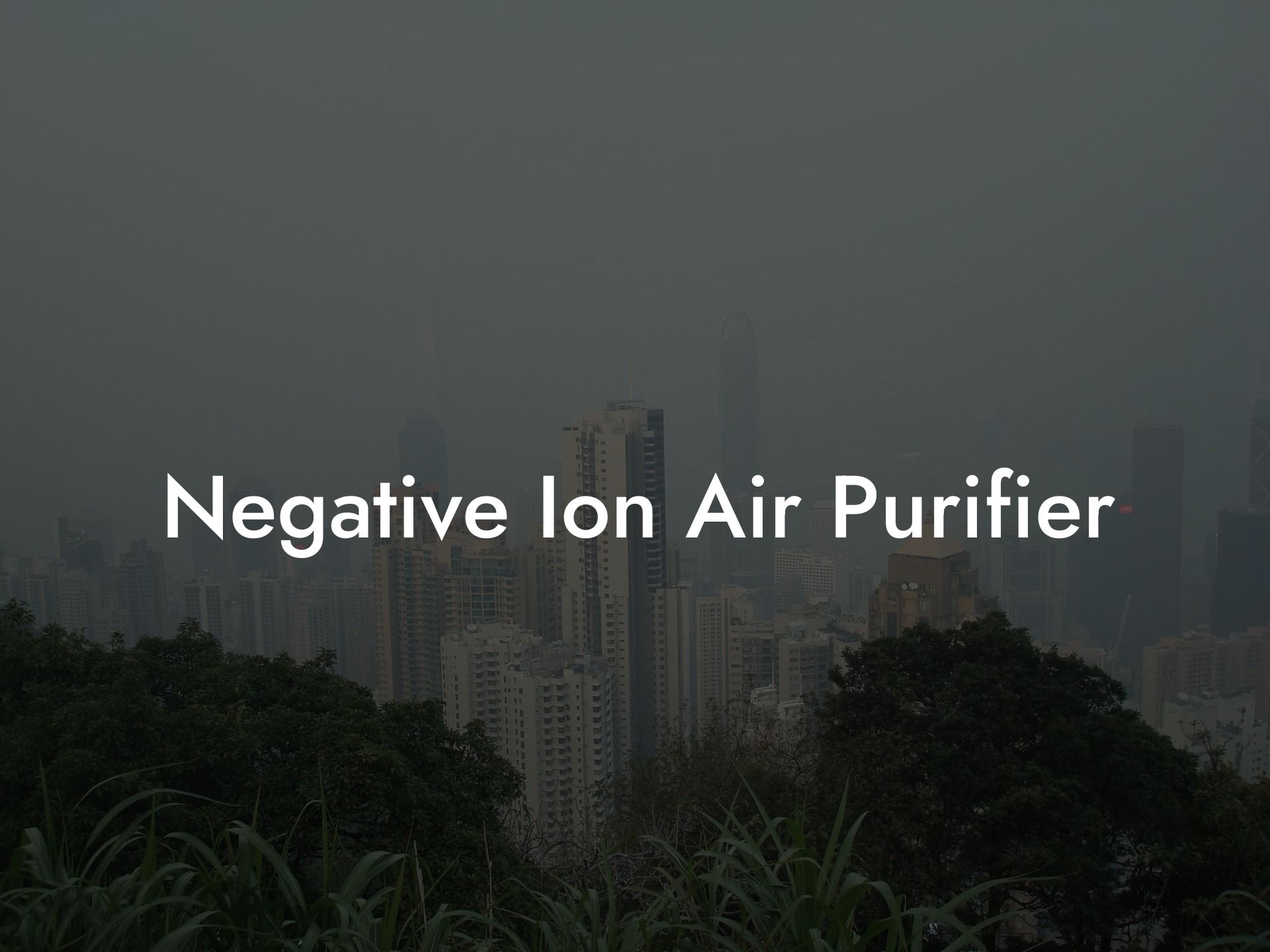 Negative Ion Air Purifier