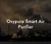 Oxypure Smart Air Purifier