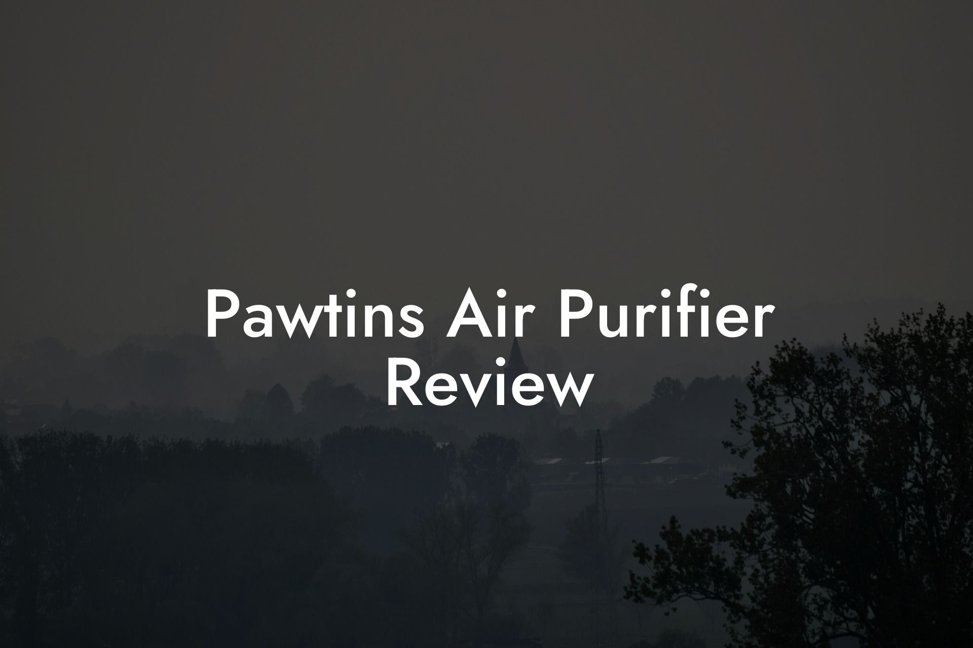 Pawtins Air Purifier Review