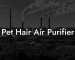 Pet Hair Air Purifier