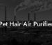 Pet Hair Air Purifier