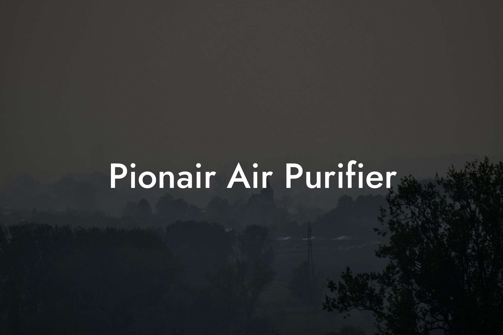 Pionair Air Purifier