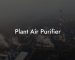 Plant Air Purifier