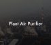 Plant Air Purifier