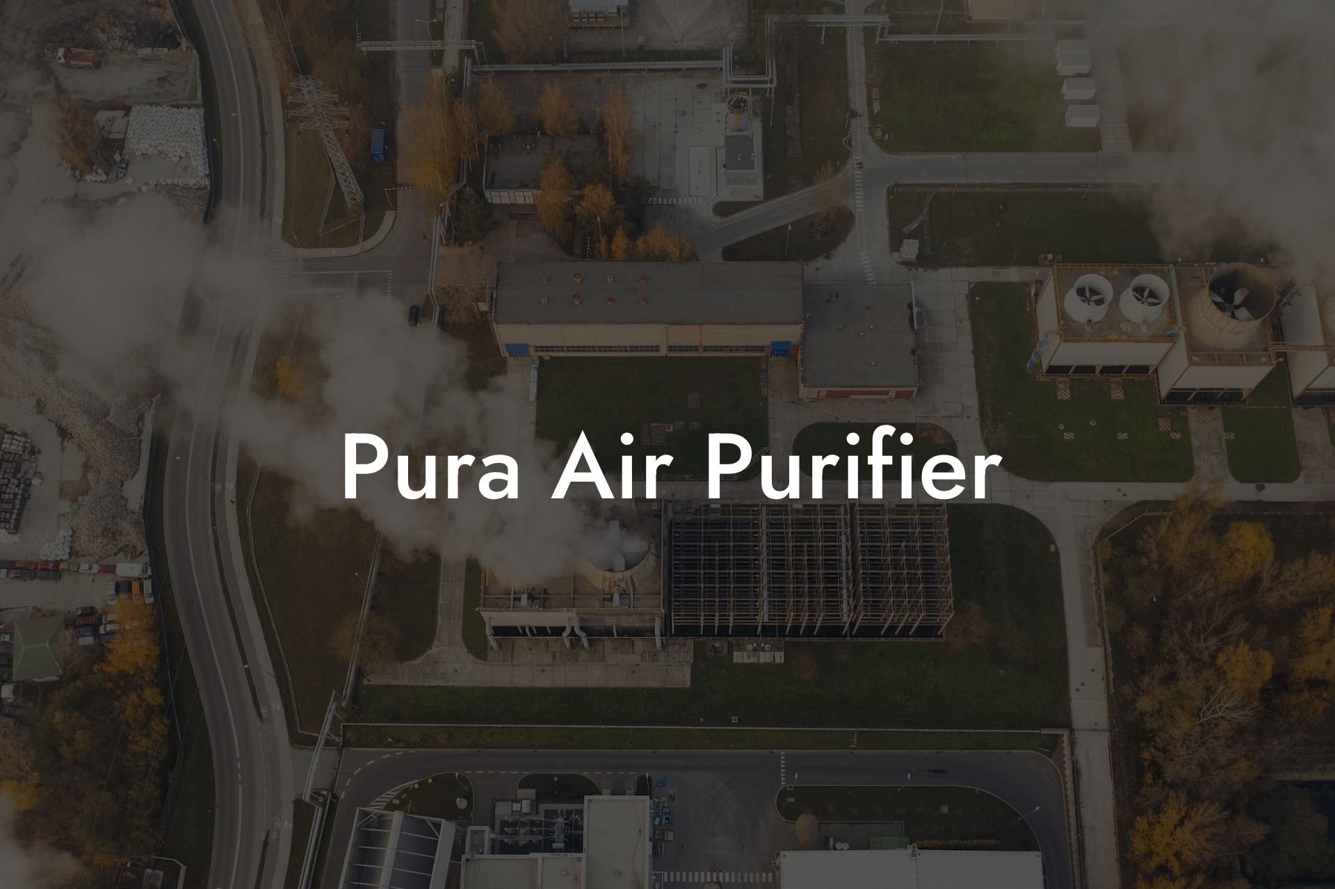 Pura Air Purifier