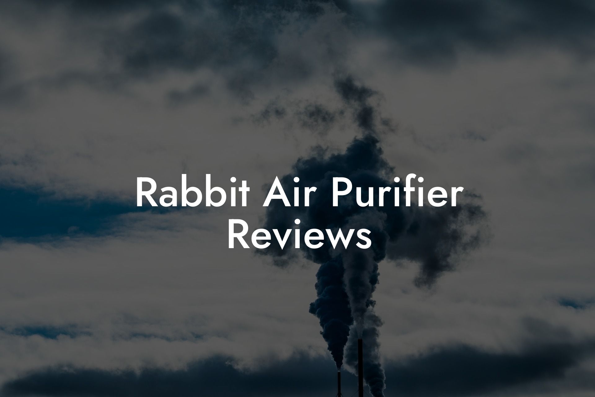 Rabbit Air Purifier Reviews