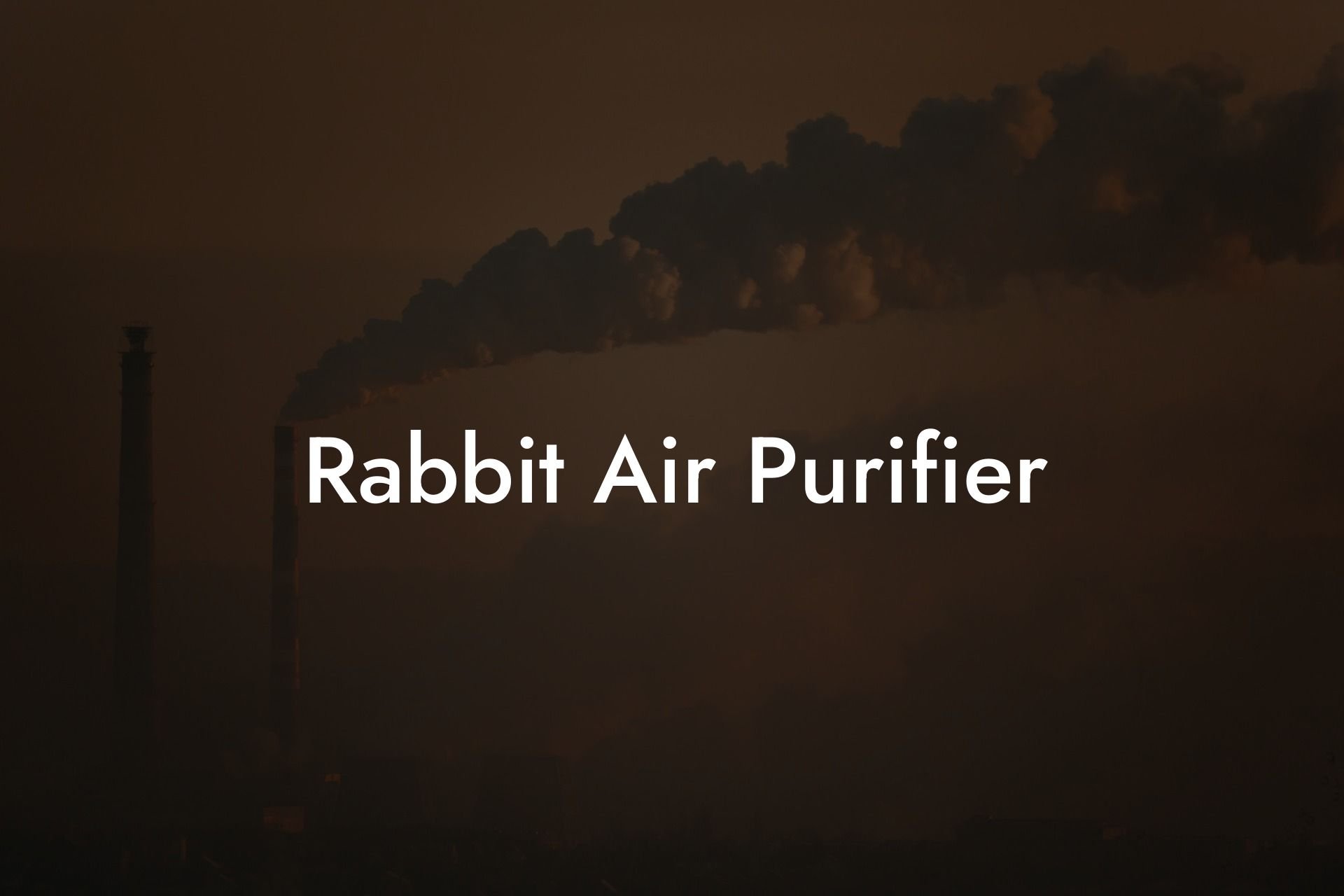 Rabbit Air Purifier